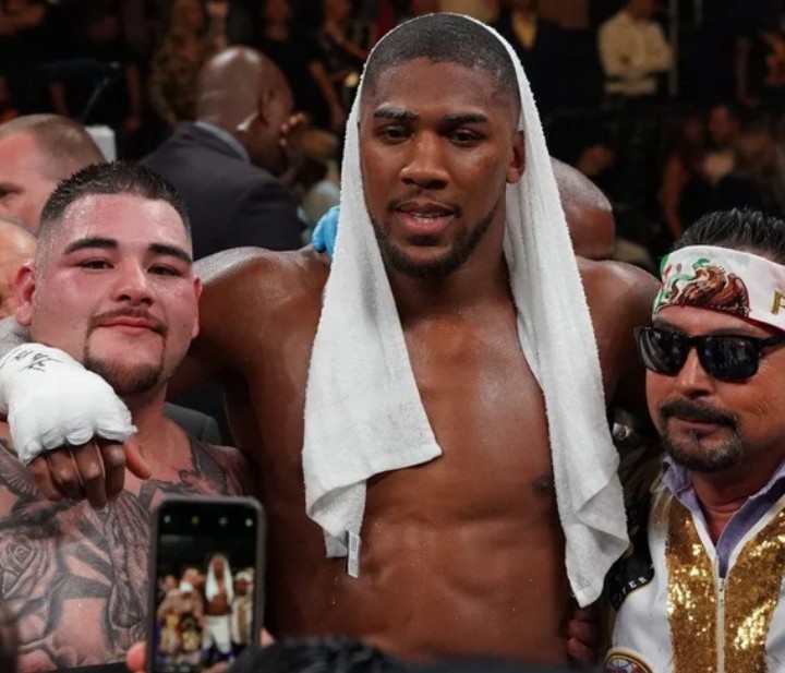 Anthony Joshua To Face Ruiz Rematch Before End Of Year - Promoter